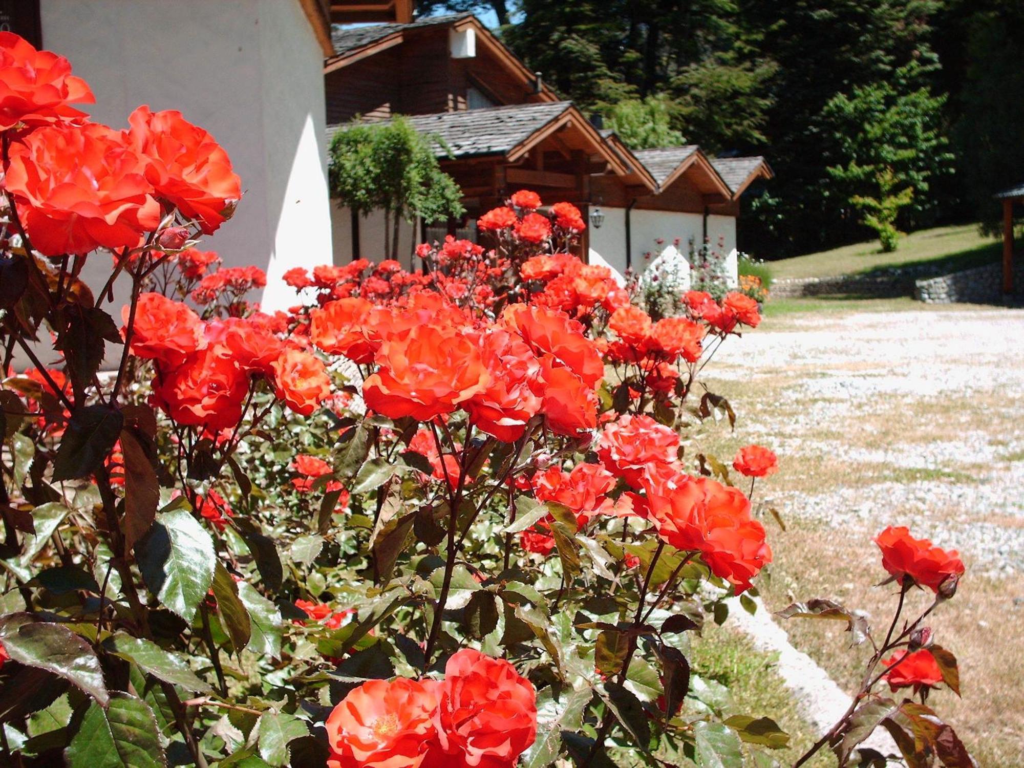 Hosteria El Condado San Carlos de Bariloche Exteriör bild